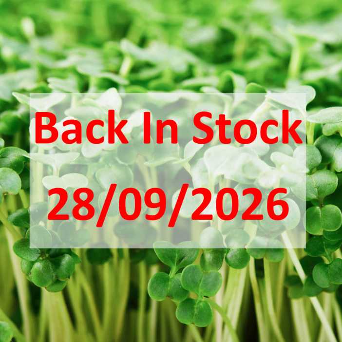 Broccoli